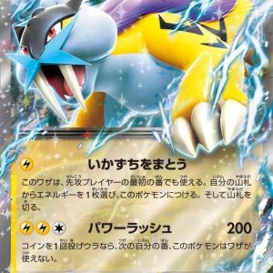 [M6] Raikou ex 024/076〈RR〉