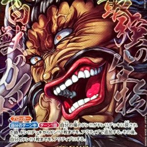 〔Condition: A-〕[OP17-062] Kaido SR/P〈Parallel〉