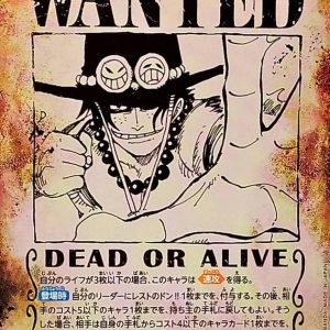 〔Condition: A-〕[OP13-119] Portgas D.Ace SP〈Parallel〉