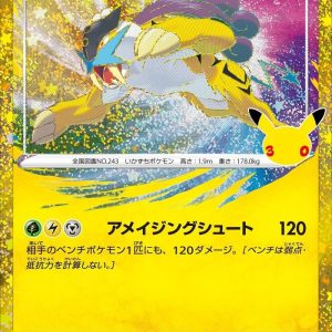 [M6a] Raikou 162/103〈〉30th
